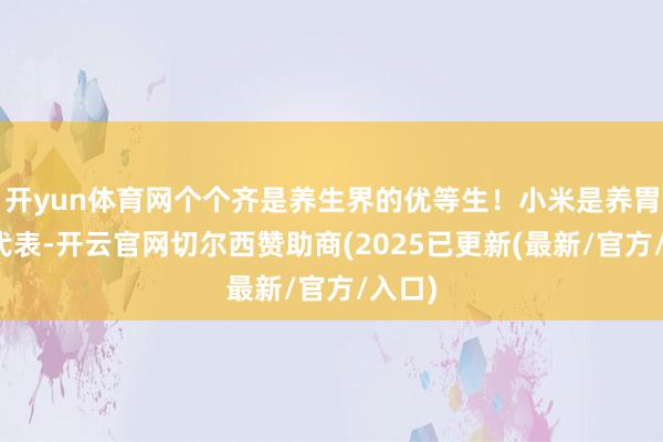 开yun体育网个个齐是养生界的优等生！小米是养胃首席代表-开云官网切尔西赞助商(2025已更新(最新/官方/入口)